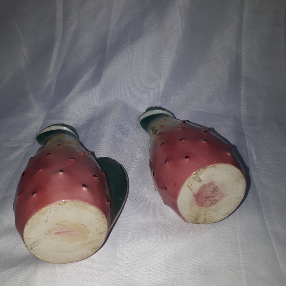 D83:  CACTUS OLIO AND ACETO - Picture 4 of 6